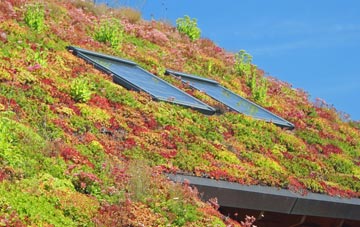 Theddingworth living roof systems