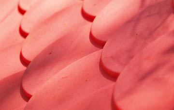 Theddingworth plastic roof costs